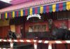 История ночного клуба Житомира